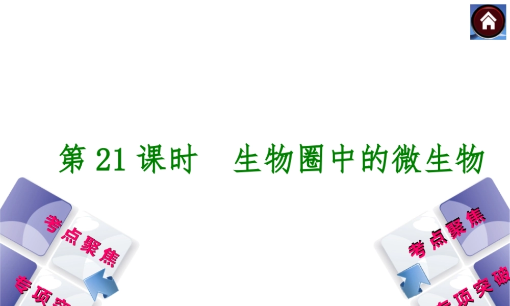 2014中考生物复习方案 生物圈中的微生物（考点聚焦+专项突破，含2013试题）课件 新人教版