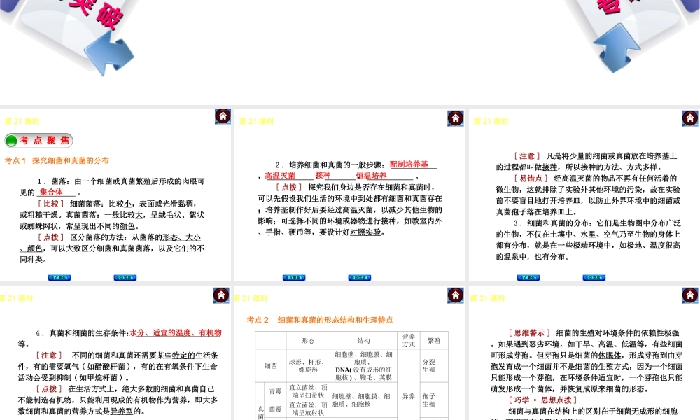 2014中考生物复习方案 生物圈中的微生物（考点聚焦+专项突破，含2013试题）课件 新人教版