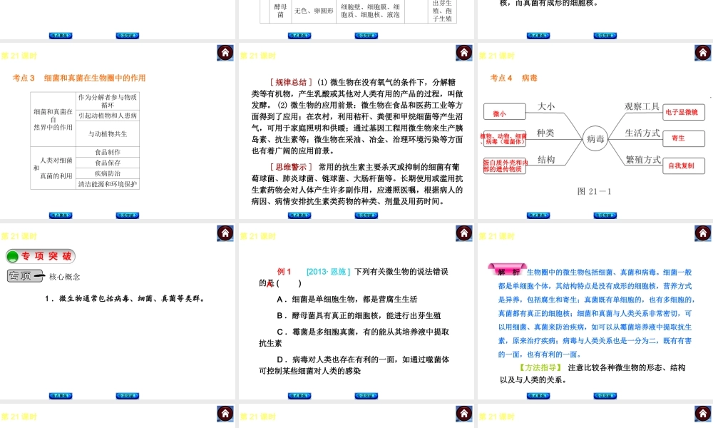 2014中考生物复习方案 生物圈中的微生物（考点聚焦+专项突破，含2013试题）课件 新人教版