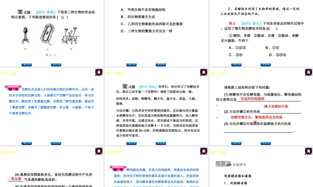 2014中考生物复习方案 生物圈中的微生物（考点聚焦+专项突破，含2013试题）课件 新人教版