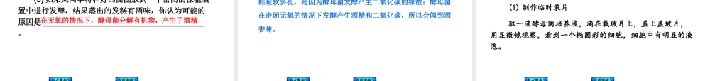 2014中考生物复习方案 生物圈中的微生物（考点聚焦+专项突破，含2013试题）课件 新人教版