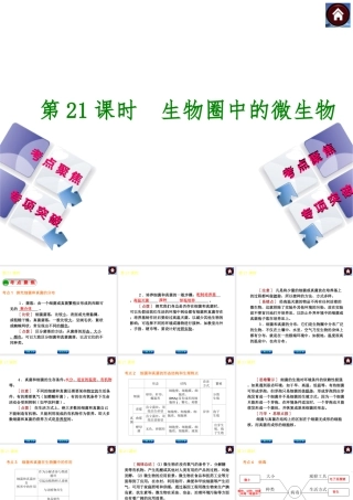 2014中考生物复习方案 生物圈中的微生物（考点聚焦+专项突破，含2013试题）课件 新人教版