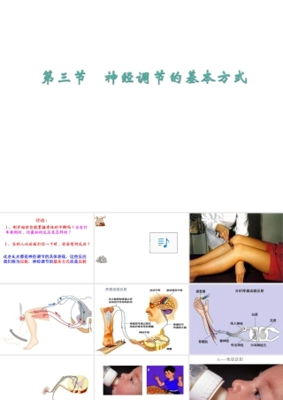 2014七年级生物下册 6.3 神经调节的基本方式课件1 新人教版