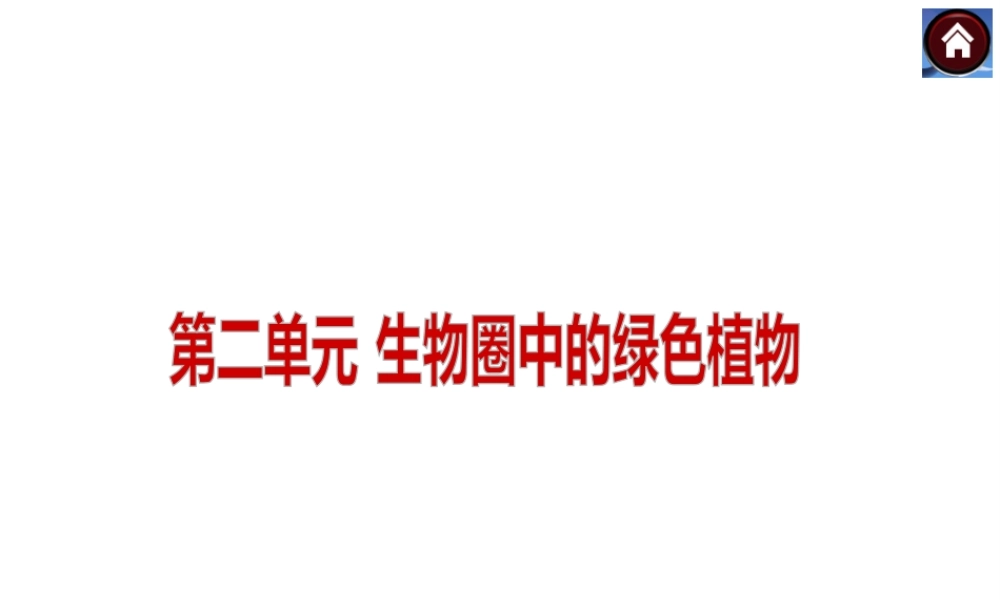 2014中考生物复习方案 生物圈中有哪些绿色植物（考点聚焦+专项突破，含2013试题）课件 新人教版