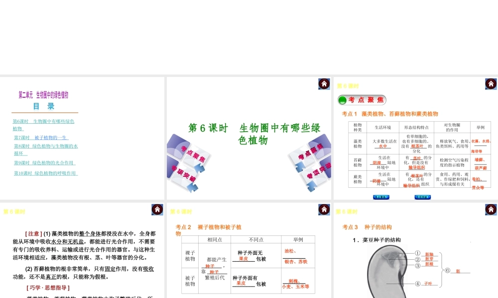 2014中考生物复习方案 生物圈中有哪些绿色植物（考点聚焦+专项突破，含2013试题）课件 新人教版