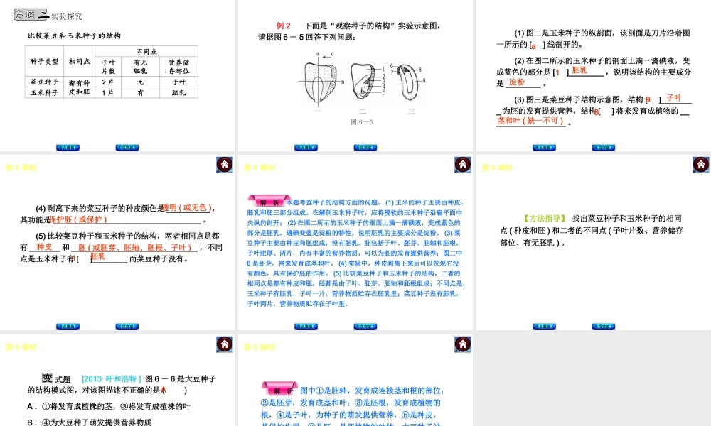 2014中考生物复习方案 生物圈中有哪些绿色植物（考点聚焦+专项突破，含2013试题）课件 新人教版