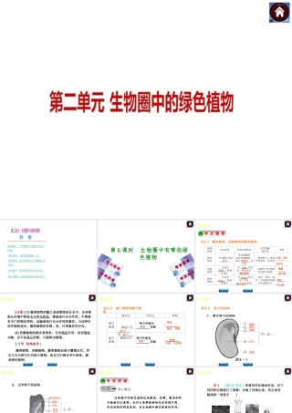 2014中考生物复习方案 生物圈中有哪些绿色植物（考点聚焦+专项突破，含2013试题）课件 新人教版