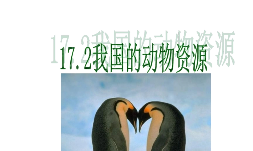 2014年秋八年级生物上册 第十七章 第二节 我国的动物资源课件 北师大版
