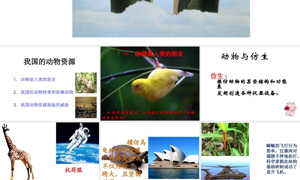 2014年秋八年级生物上册 第十七章 第二节 我国的动物资源课件 北师大版