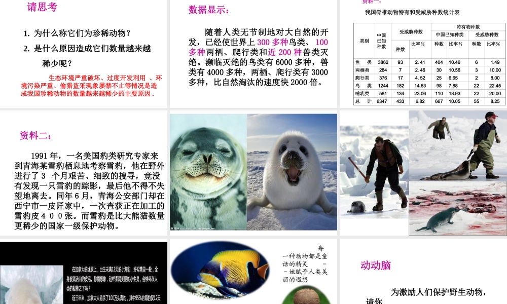 2014年秋八年级生物上册 第十七章 第二节 我国的动物资源课件 北师大版