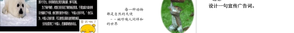 2014年秋八年级生物上册 第十七章 第二节 我国的动物资源课件 北师大版