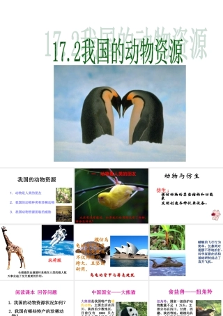 2014年秋八年级生物上册 第十七章 第二节 我国的动物资源课件 北师大版
