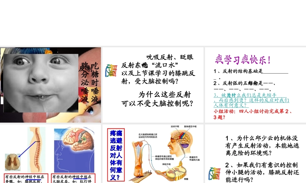 2014七年级生物下册 6.3 神经调节的基本方式课件2 新人教版