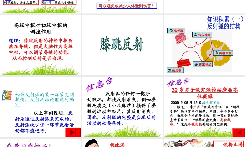 2014七年级生物下册 6.3 神经调节的基本方式课件2 新人教版