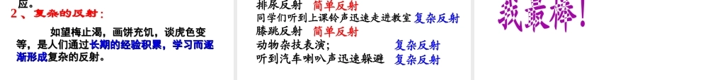 2014七年级生物下册 6.3 神经调节的基本方式课件2 新人教版