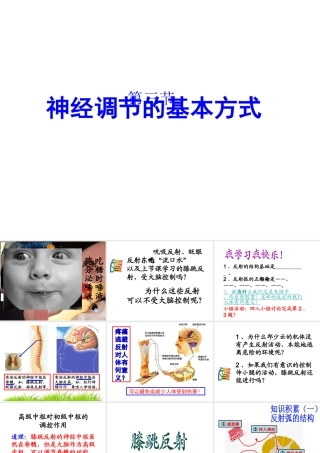 2014七年级生物下册 6.3 神经调节的基本方式课件2 新人教版