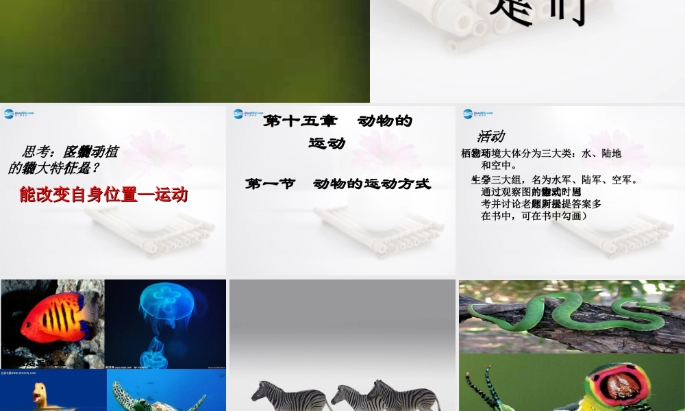 2014年秋八年级生物上册 第十五章 第一节 动物运动的方式课件 北师大版