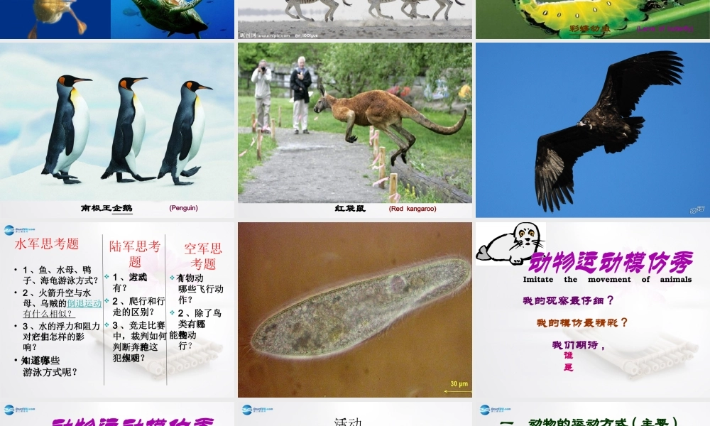 2014年秋八年级生物上册 第十五章 第一节 动物运动的方式课件 北师大版