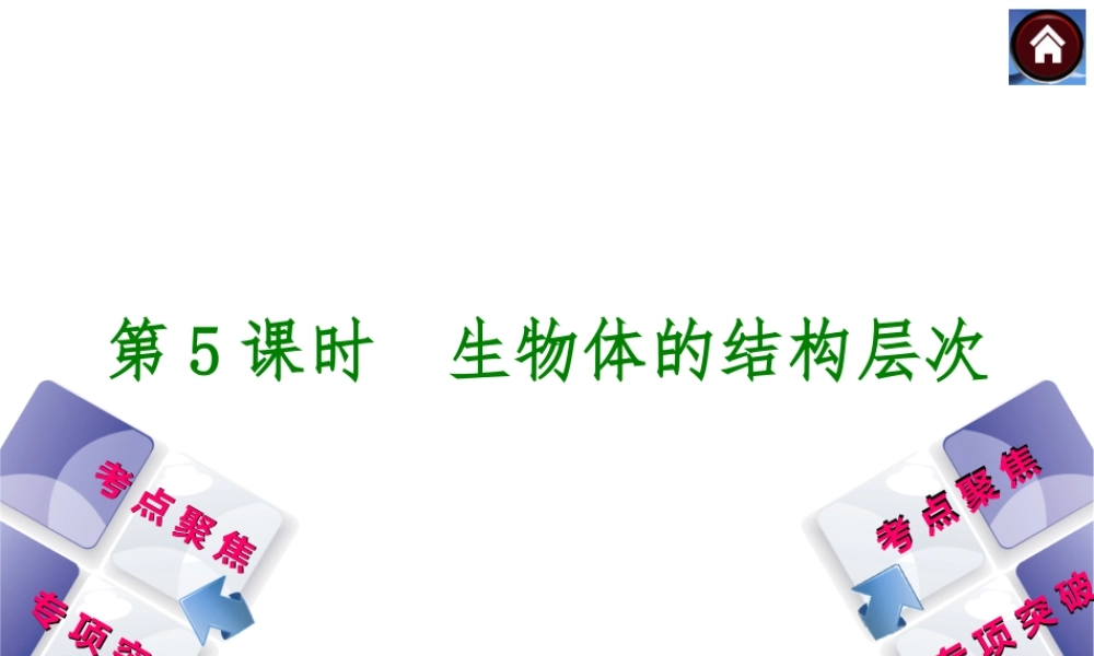 2014中考生物复习方案 物体的结构层次（考点聚焦+专项突破，含2013试题）课件 新人教版