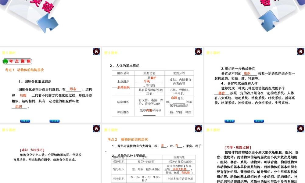 2014中考生物复习方案 物体的结构层次（考点聚焦+专项突破，含2013试题）课件 新人教版