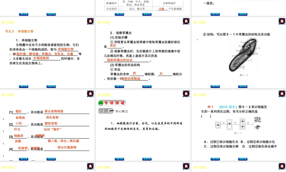 2014中考生物复习方案 物体的结构层次（考点聚焦+专项突破，含2013试题）课件 新人教版