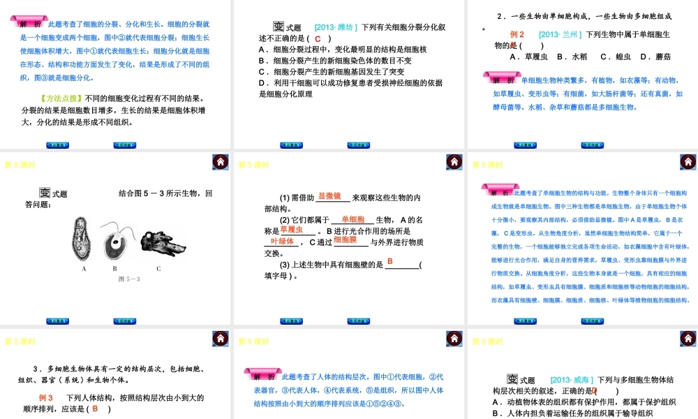 2014中考生物复习方案 物体的结构层次（考点聚焦+专项突破，含2013试题）课件 新人教版