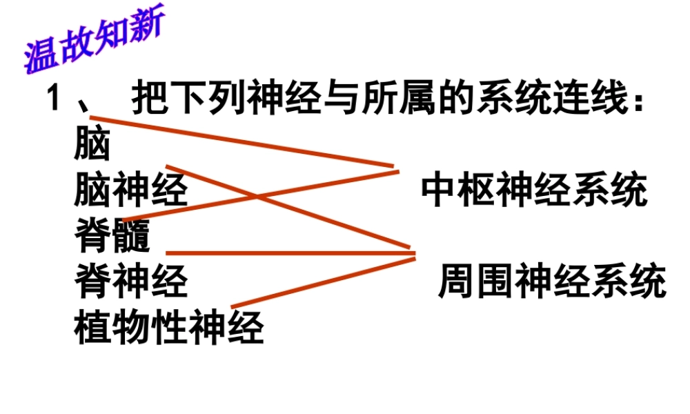 2014七年级生物下册 6.3 神经调节的基本方式课件3 新人教版