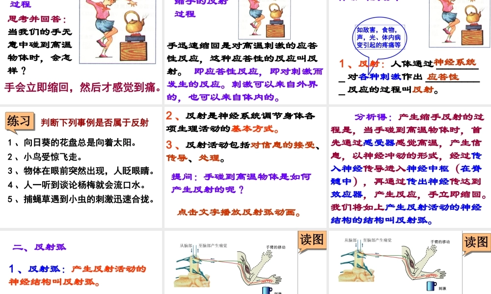 2014七年级生物下册 6.3 神经调节的基本方式课件3 新人教版