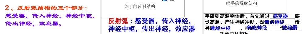 2014七年级生物下册 6.3 神经调节的基本方式课件3 新人教版