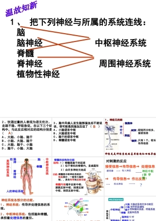 2014七年级生物下册 6.3 神经调节的基本方式课件3 新人教版