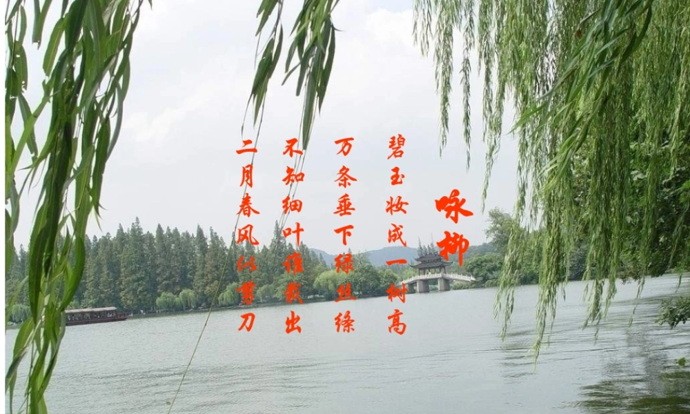 2014年秋八年级生物上册 第四单元 第一章 第六节 芽的类型和结构课件 济南版