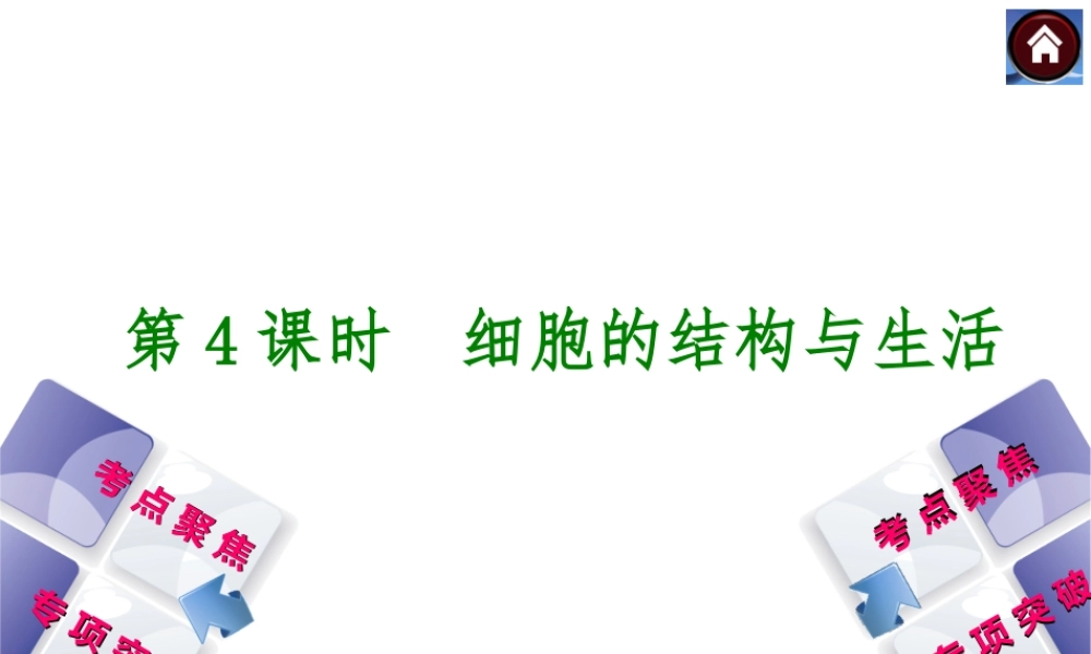 2014中考生物复习方案 细胞的结构与生活（考点聚焦+专项突破，含2013试题）课件 新人教版