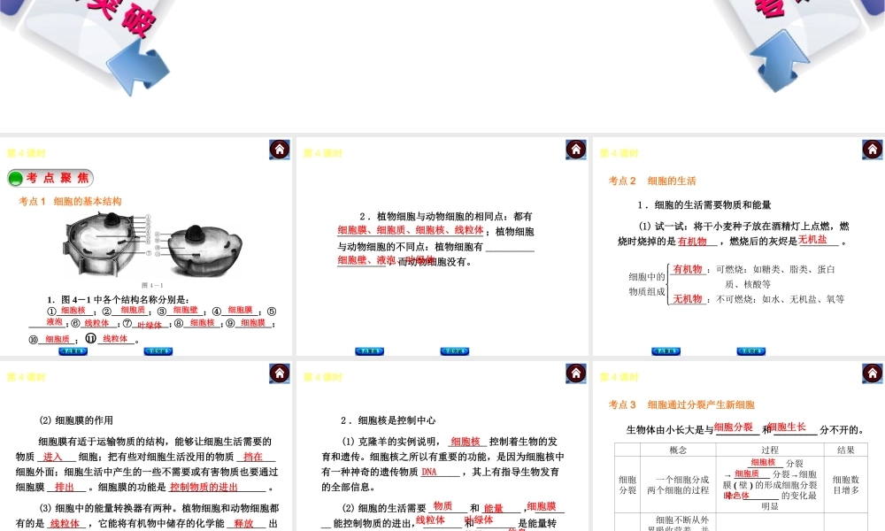 2014中考生物复习方案 细胞的结构与生活（考点聚焦+专项突破，含2013试题）课件 新人教版