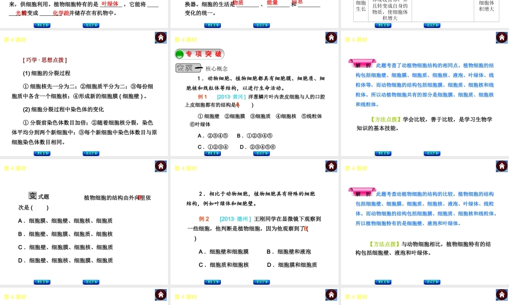 2014中考生物复习方案 细胞的结构与生活（考点聚焦+专项突破，含2013试题）课件 新人教版