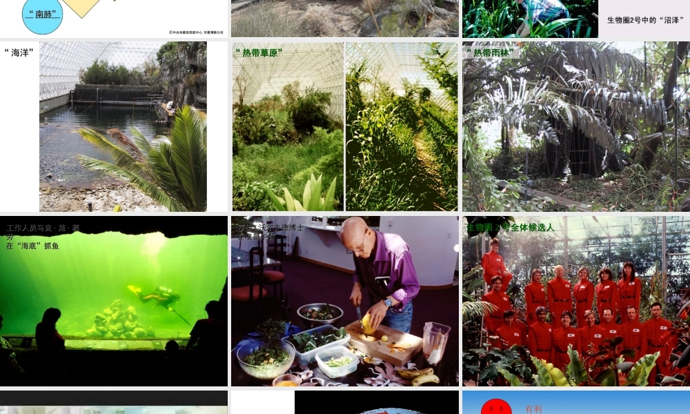 2014七年级生物下册 7.1 分析人类活动对生态环境的影响课件1 新人教版