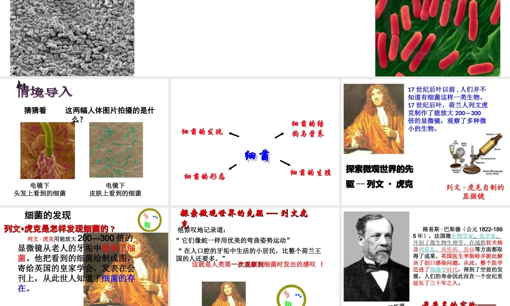 2014年秋八年级生物上册 第四章 第二节 细菌课件 新人教版