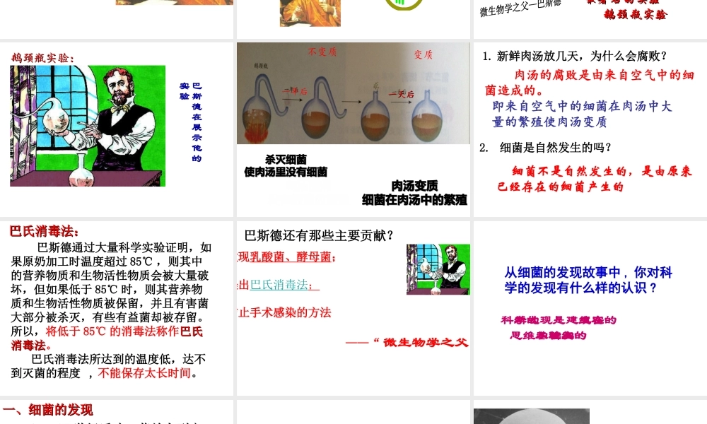 2014年秋八年级生物上册 第四章 第二节 细菌课件 新人教版