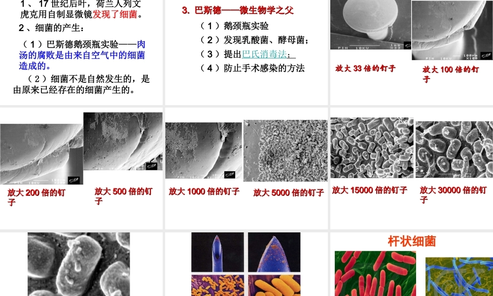 2014年秋八年级生物上册 第四章 第二节 细菌课件 新人教版