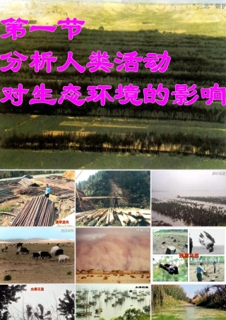 2014七年级生物下册 7.1 分析人类活动对生态环境的影响课件2 新人教版