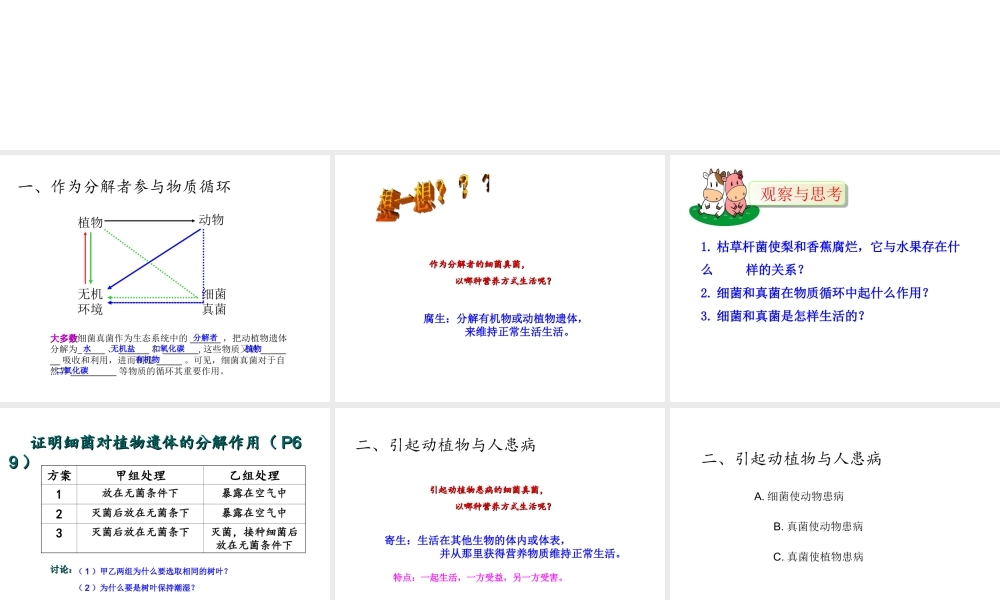 2014年秋八年级生物上册 第四章 第四节 细菌和真菌在自然界中的作用课件 （新版）新人教版