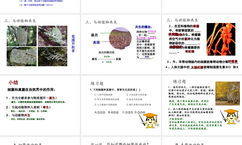 2014年秋八年级生物上册 第四章 第四节 细菌和真菌在自然界中的作用课件 （新版）新人教版