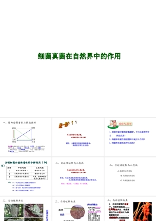 2014年秋八年级生物上册 第四章 第四节 细菌和真菌在自然界中的作用课件 （新版）新人教版