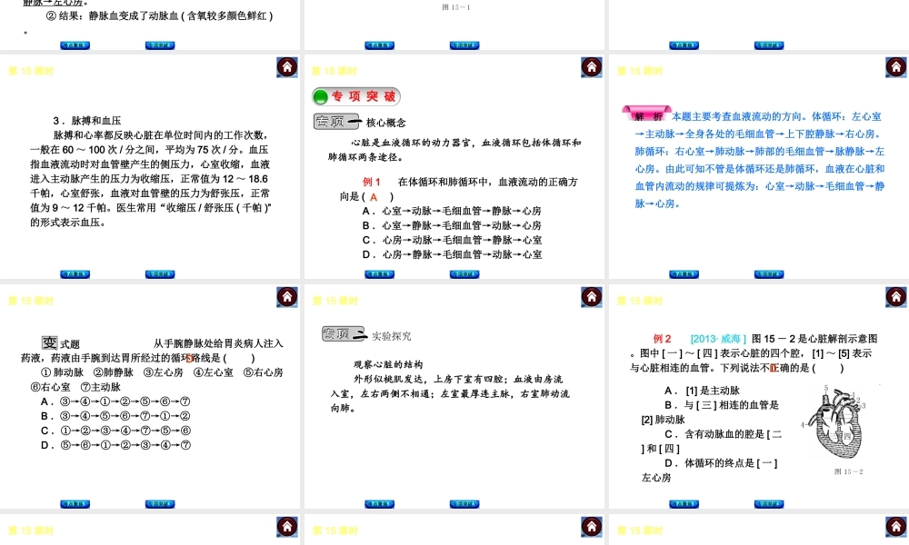 2014中考生物复习方案 心脏与血液循环（考点聚焦+专项突破，含2013试题）课件 新人教版