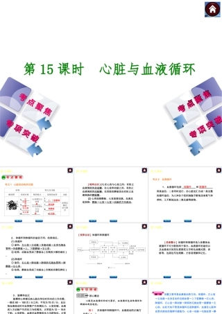 2014中考生物复习方案 心脏与血液循环（考点聚焦+专项突破，含2013试题）课件 新人教版