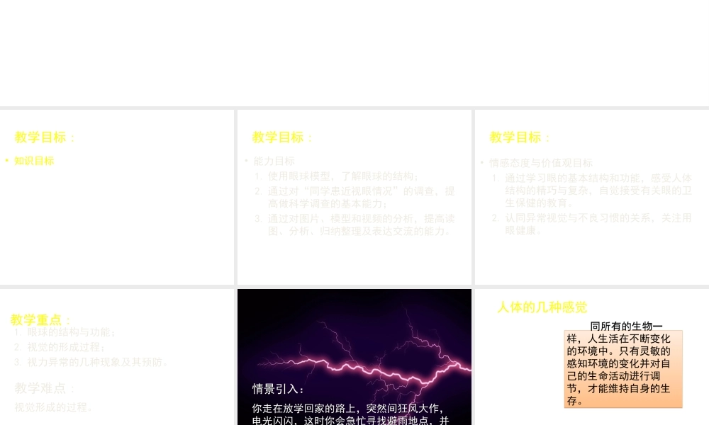 2014七年级生物下册 第2节 感受器和感觉器官 北师大版