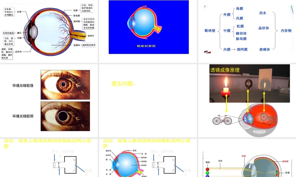 2014七年级生物下册 第2节 感受器和感觉器官 北师大版