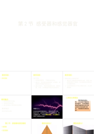 2014七年级生物下册 第2节 感受器和感觉器官 北师大版