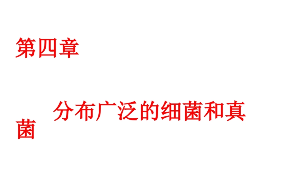 2014年秋八年级生物上册 第四章 第一节 细菌和真菌的分布课件 新人教版