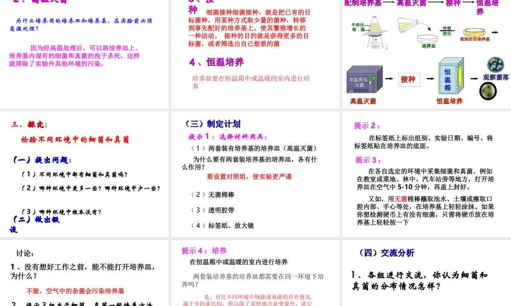 2014年秋八年级生物上册 第四章 第一节 细菌和真菌的分布课件 新人教版