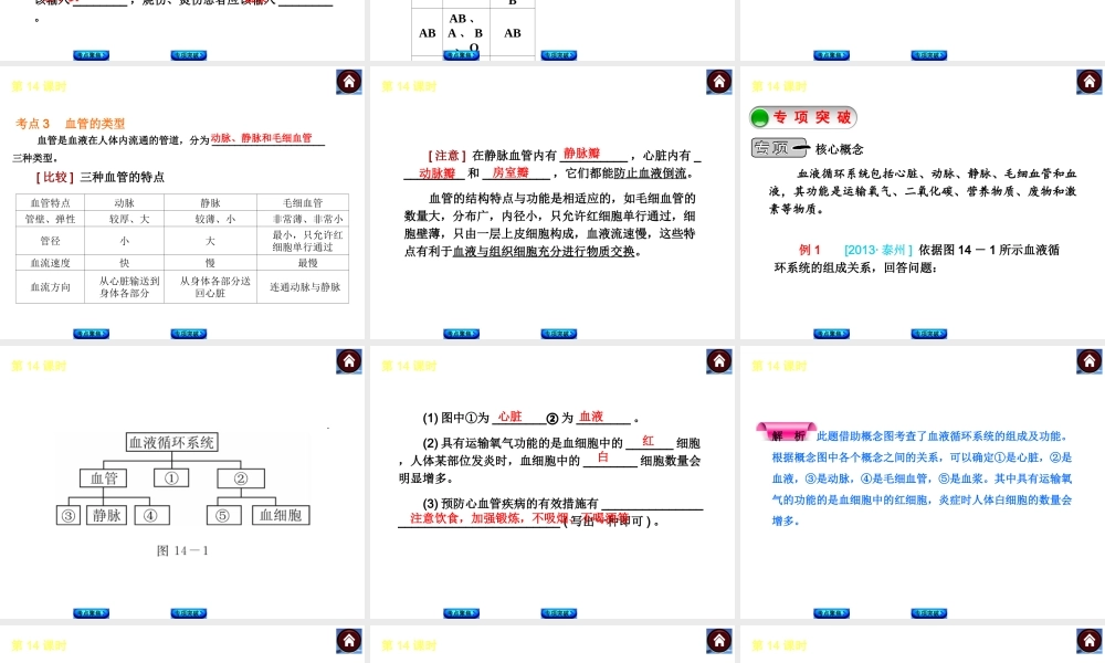 2014中考生物复习方案 血液、血管和血型、输血（考点聚焦+专项突破，含2013试题）课件 新人教版